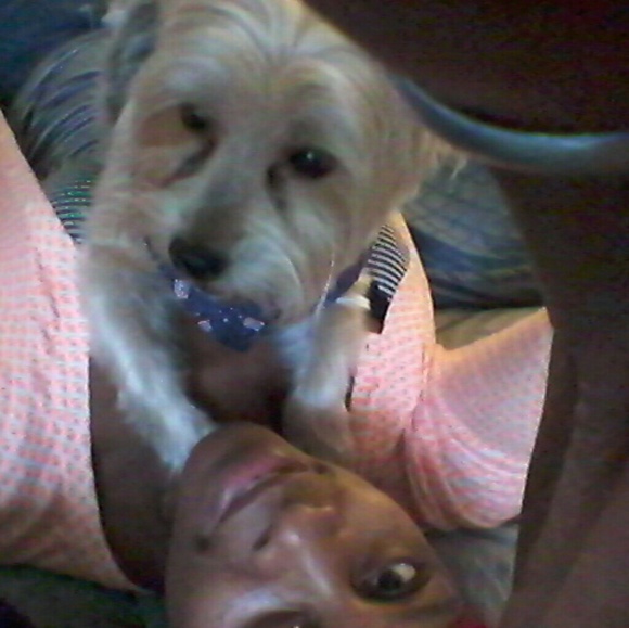 Meet your Posher, Terri - Picture 3 of 3